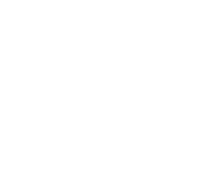 press_logo_1744274134.png