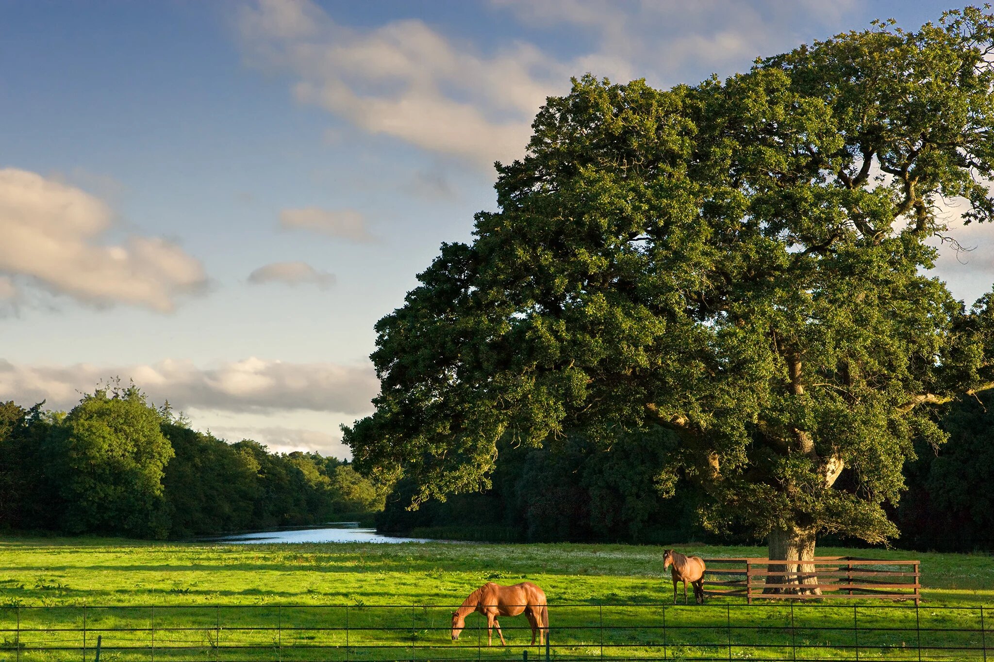 Castlemartyr Resort 6270