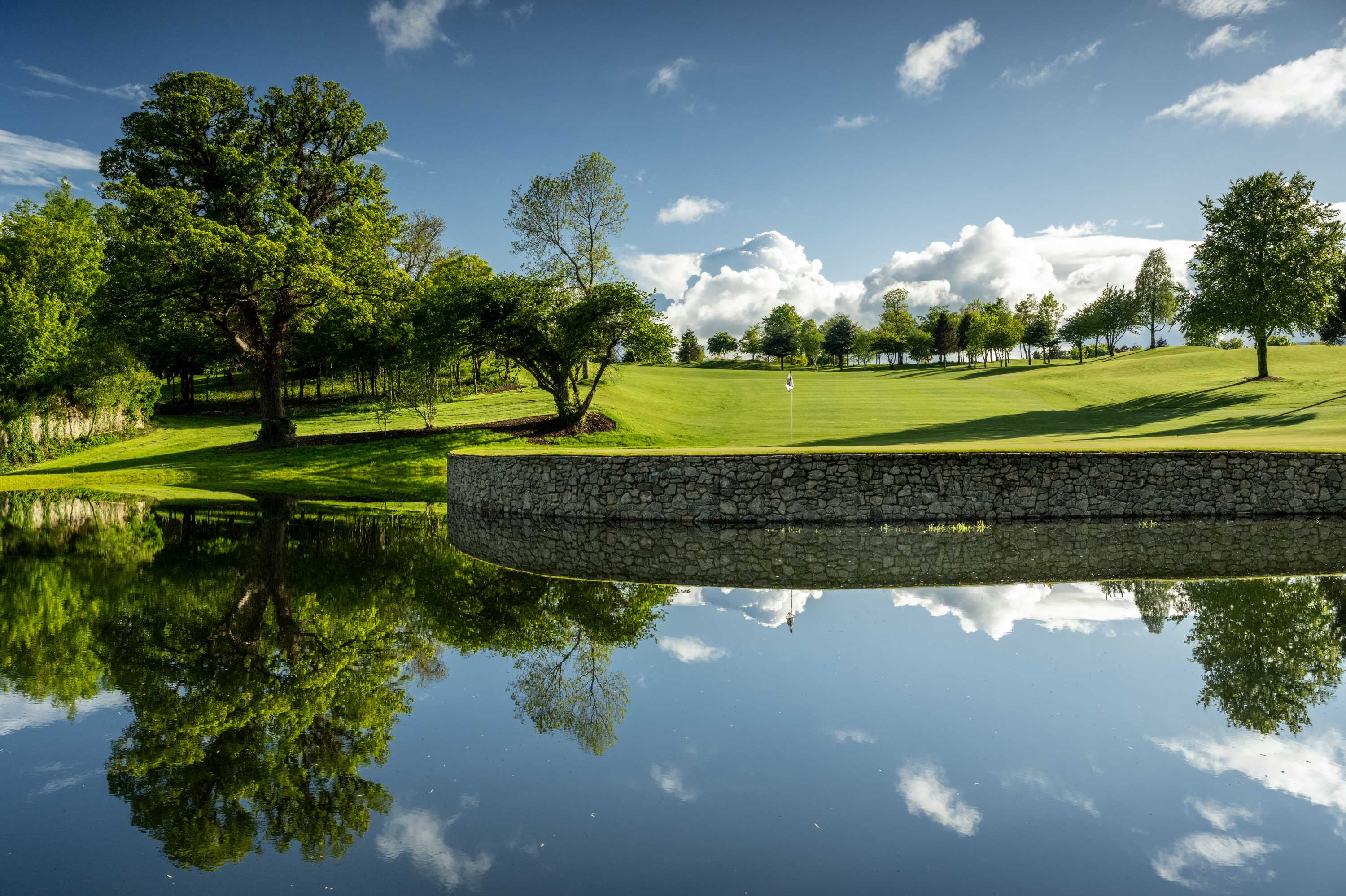 Druids Glen Resort 5538
