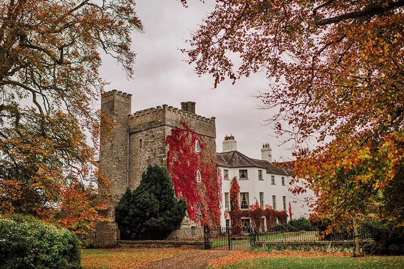 Barberstown Castle 8604